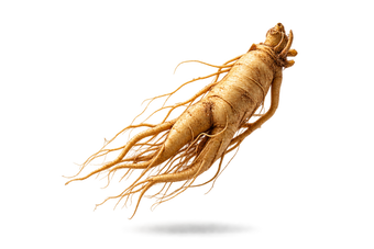 Ginseng Extract