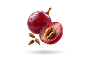 Grape Seed Oil