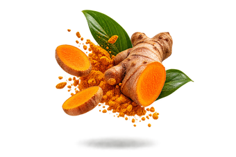 Curcuma Extract (from Turmeric)